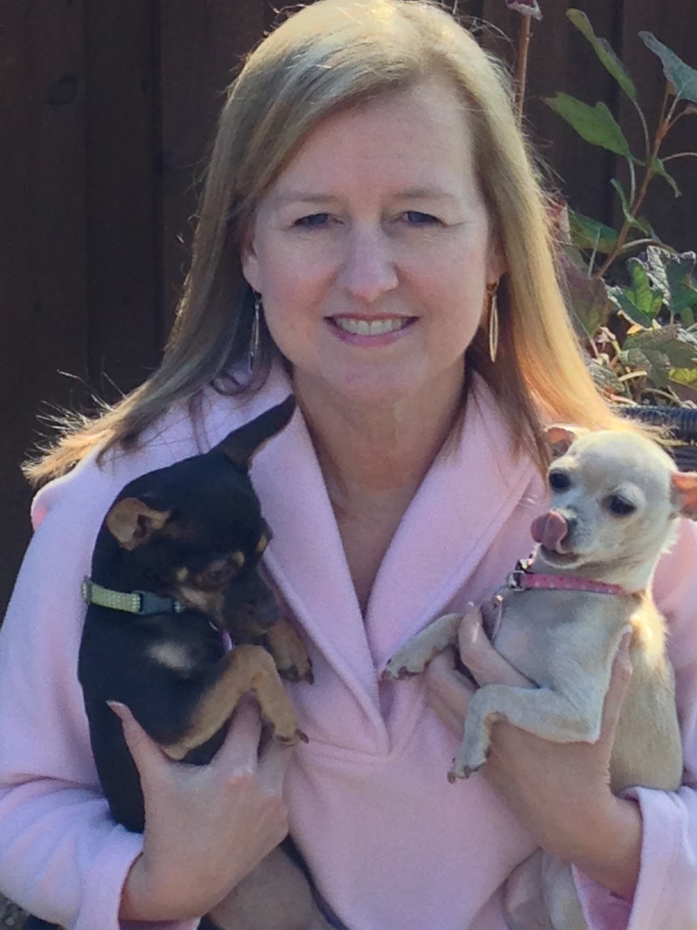 Tammy Cantrell – Chihuahua Rescue & Transport