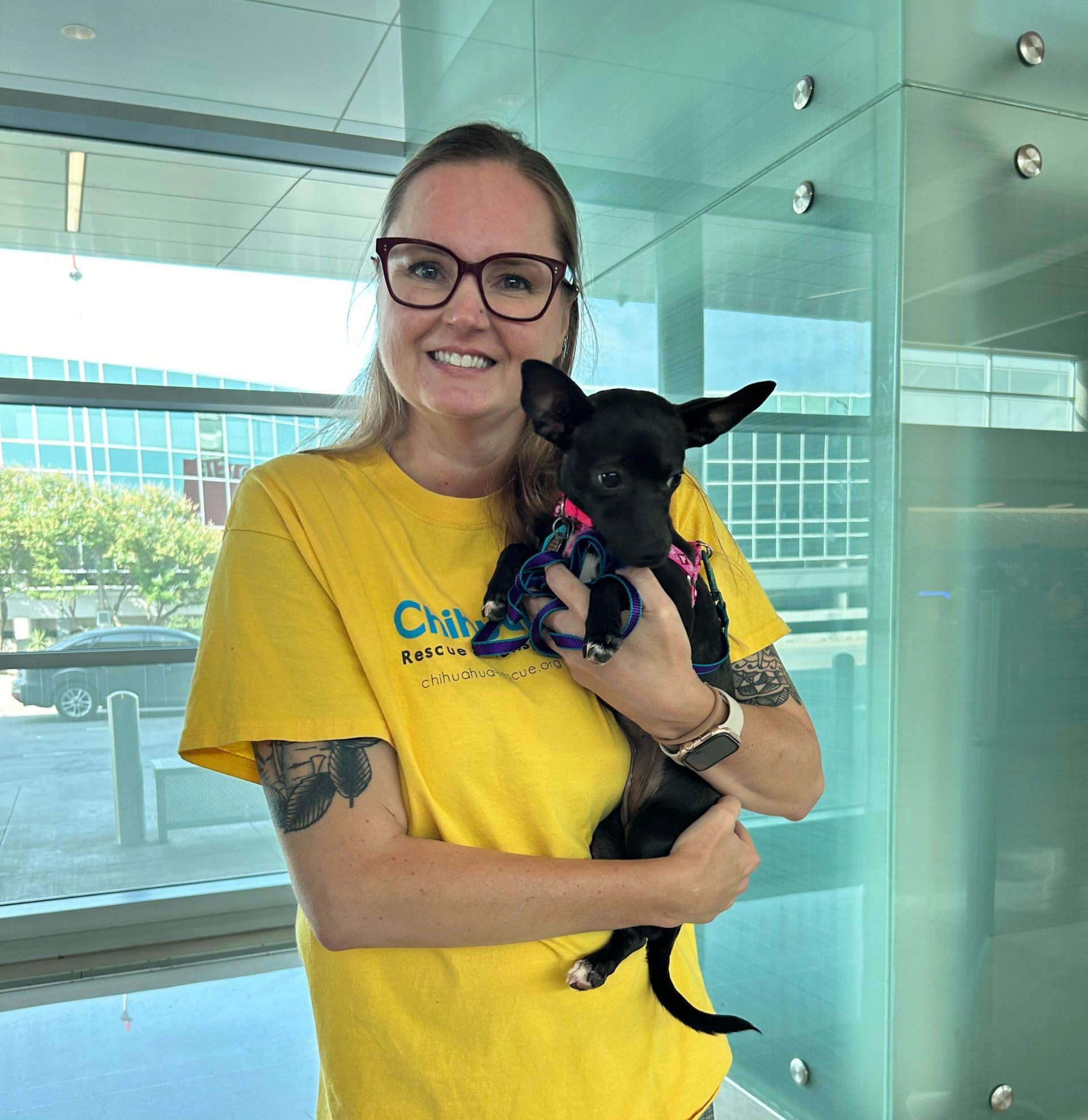 Andrea Blythe – Chihuahua Rescue & Transport